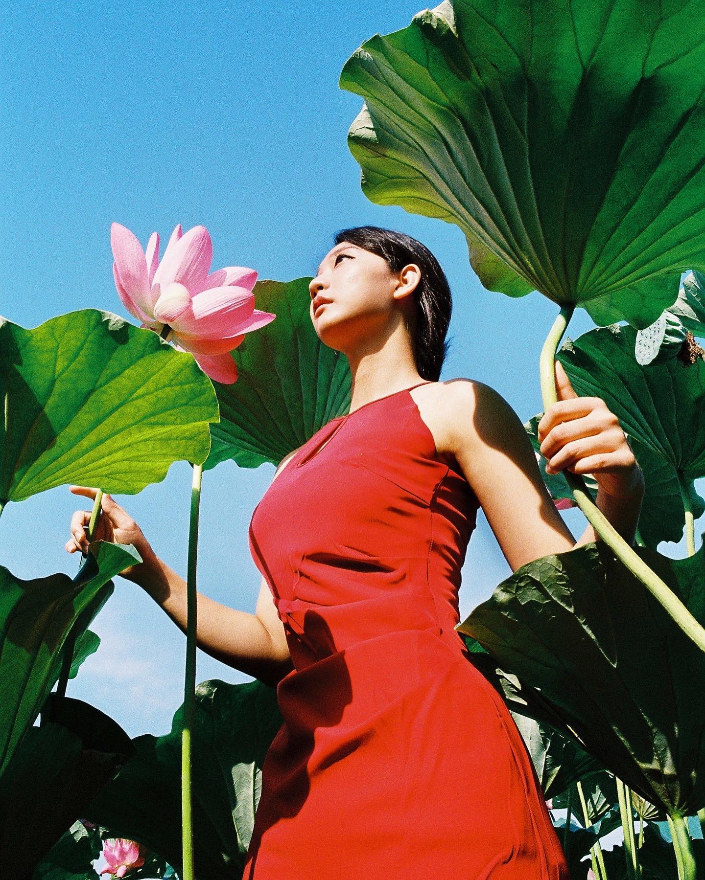 摄影师荷花写真,荷花人像写真修图