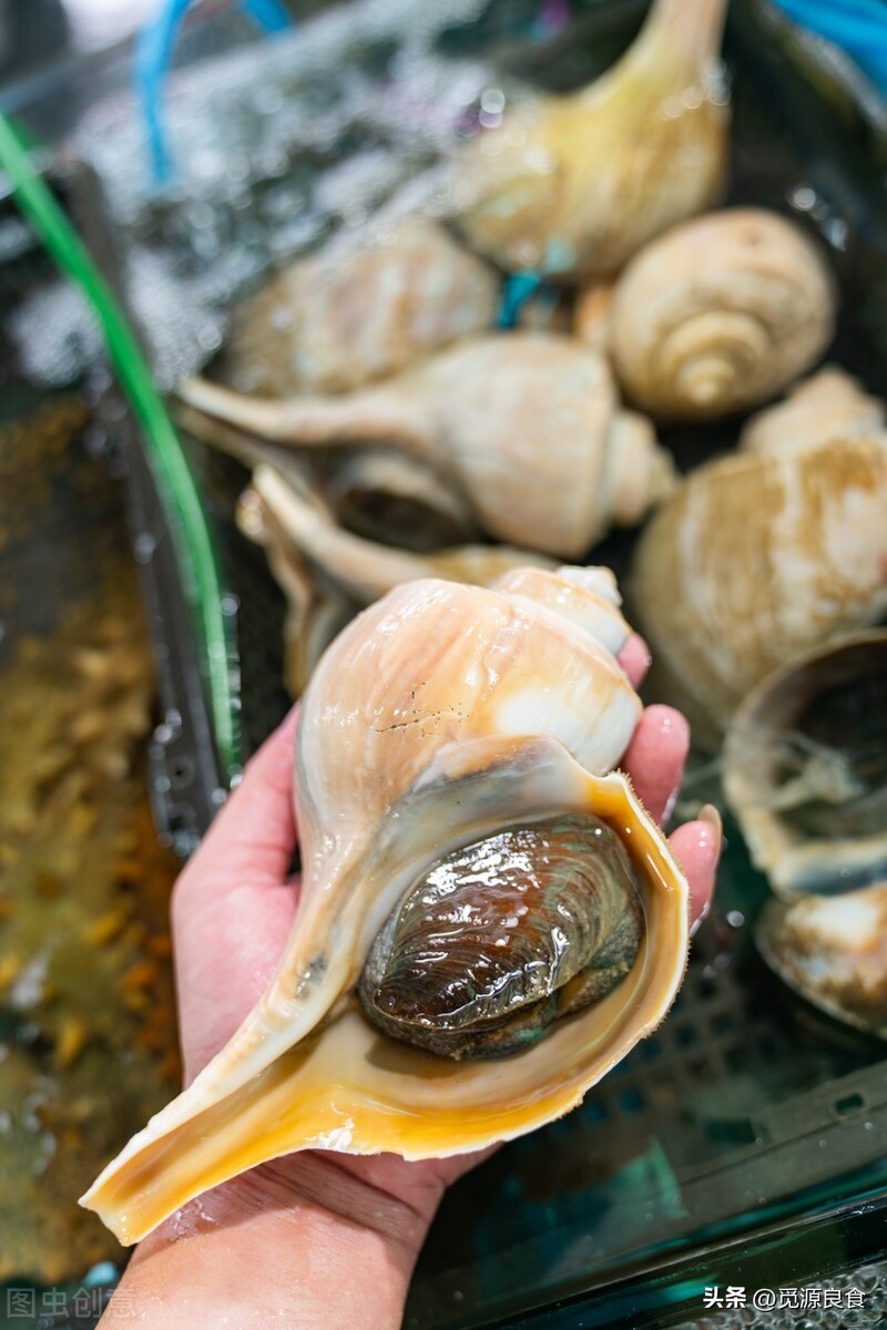 吃海螺里面有粘液,吃海螺时吃到粑粑会怎么样
