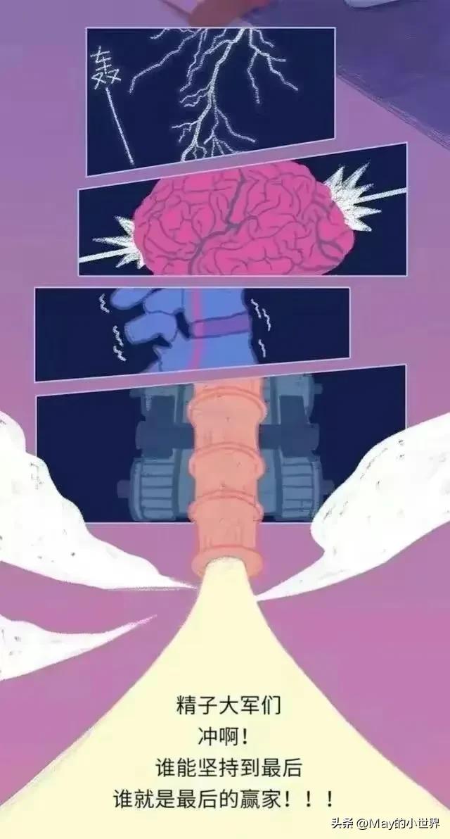 精子进入女性体内，会发生什么？