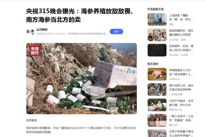 北极海参和辽参哪种价格高,辽参鲜海参500克价格表