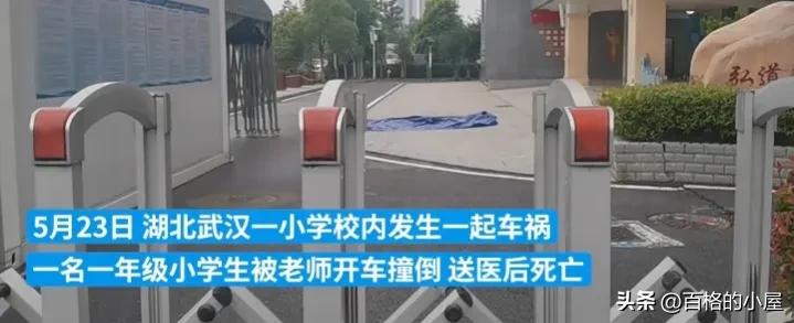 学生校内被老师驾车碾轧致死,母亲悲痛:为什么在学校开车?