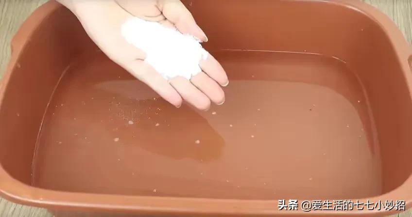 蟑螂药不要买了教你一个土办法,买了蟑螂药后家里蟑螂不出现了呢