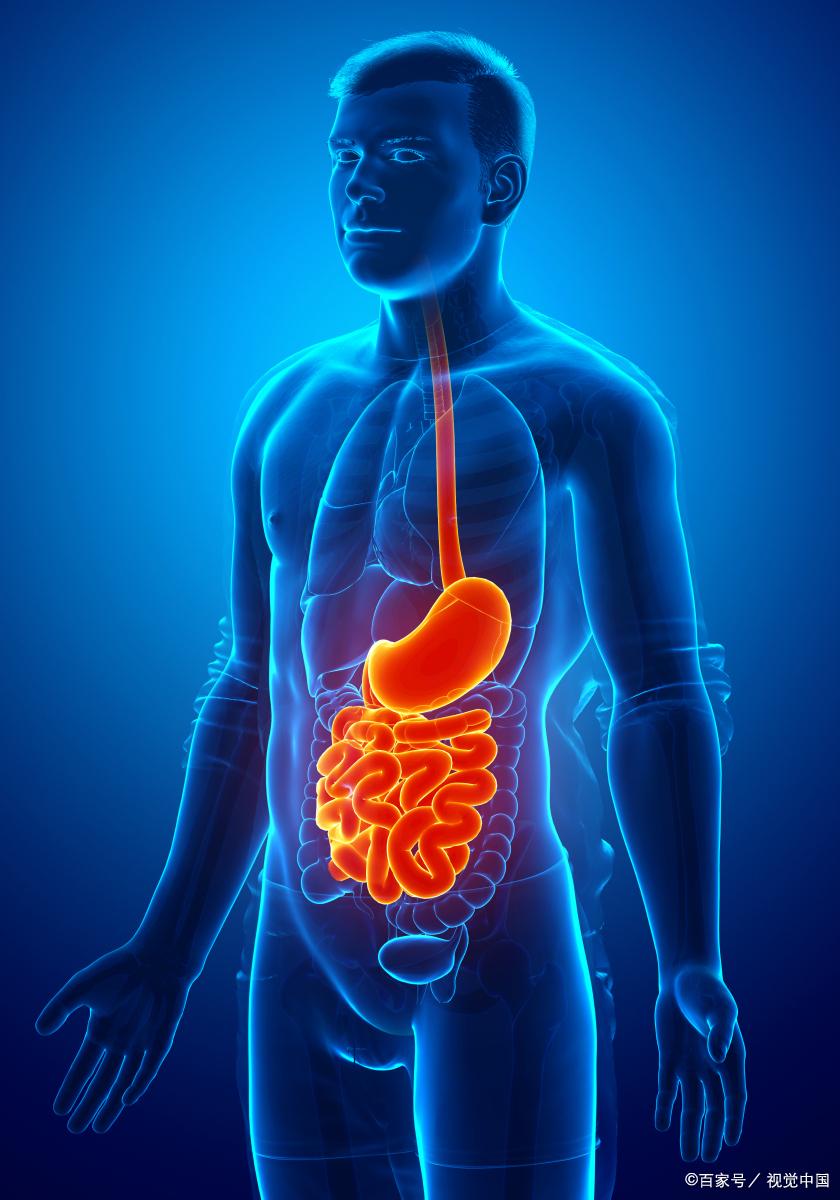 普洱熟茶对肠胃有什么影响,熟普洱茶能改善肠胃功能吗