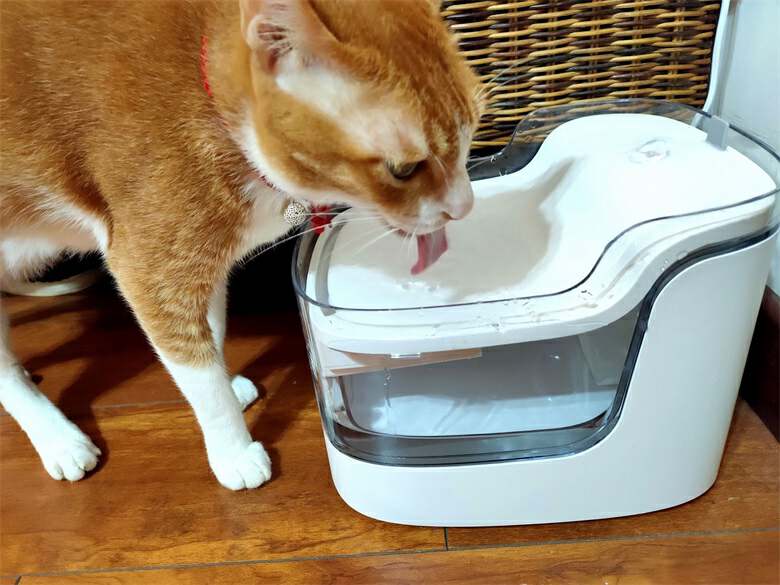 猫咪自动喂水喂食一体器智能测评,宠物猫咪智能喂水器