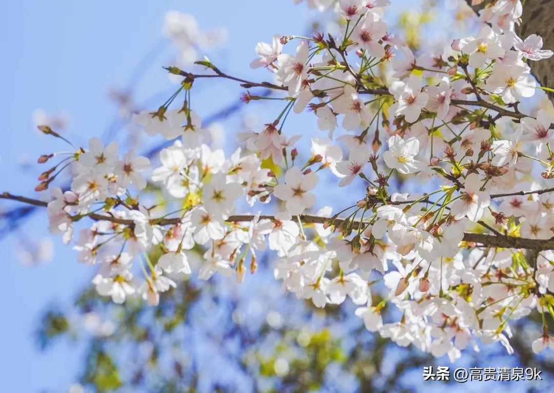 鐭湡鏃呮父鏀荤暐閰掑簵鎺ㄨ崘,涔愬北灏忎紬韪忔槬鎵撳崱鍦扮偣鎺ㄨ崘