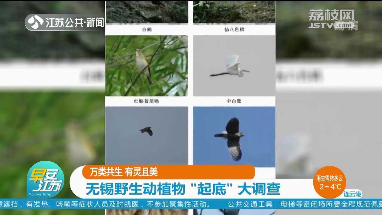 万类共生有灵且美无锡野生动植物“起底”大调查