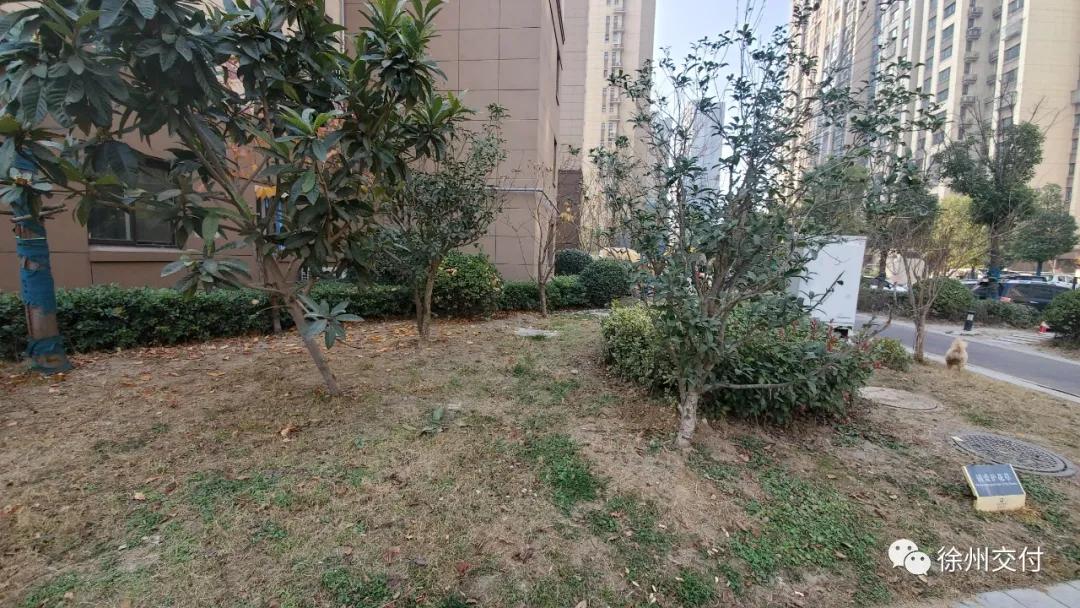 实探这个小区值不值钱,实探热门小区