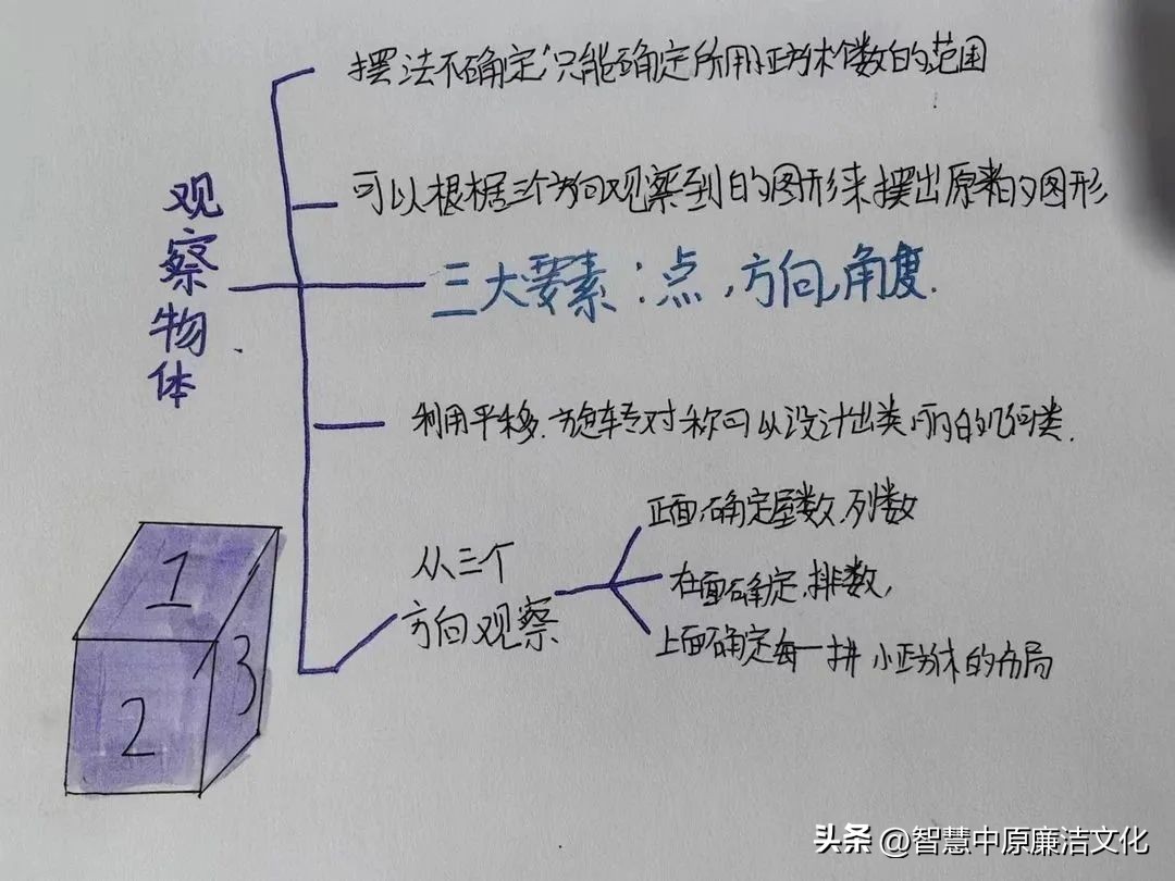 【教研动态·市府校区】不负“双减”好时光思维导图助复习