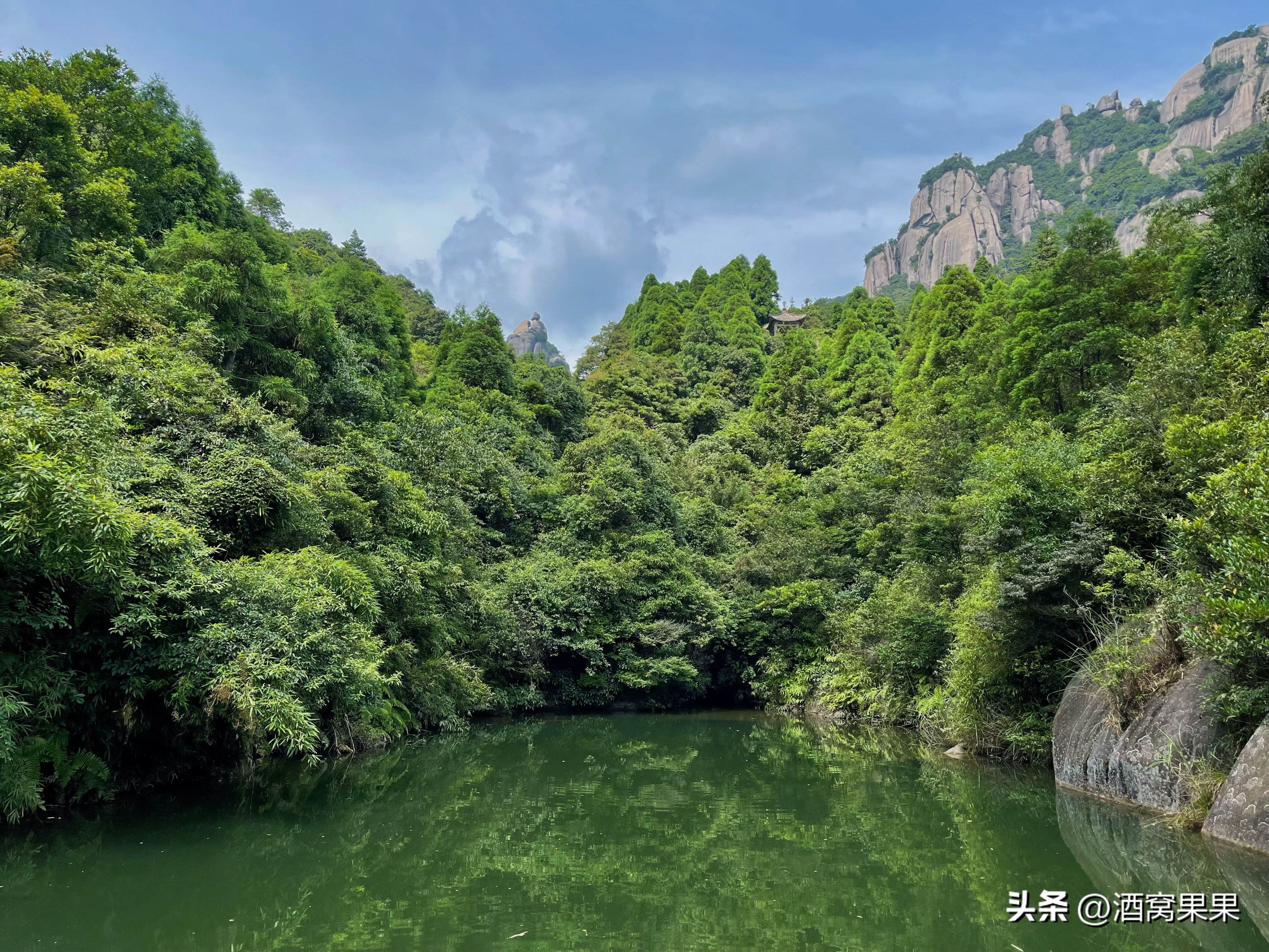 福鼎两天一夜旅游攻略,福鼎茶漫步茶园体验采茶之旅