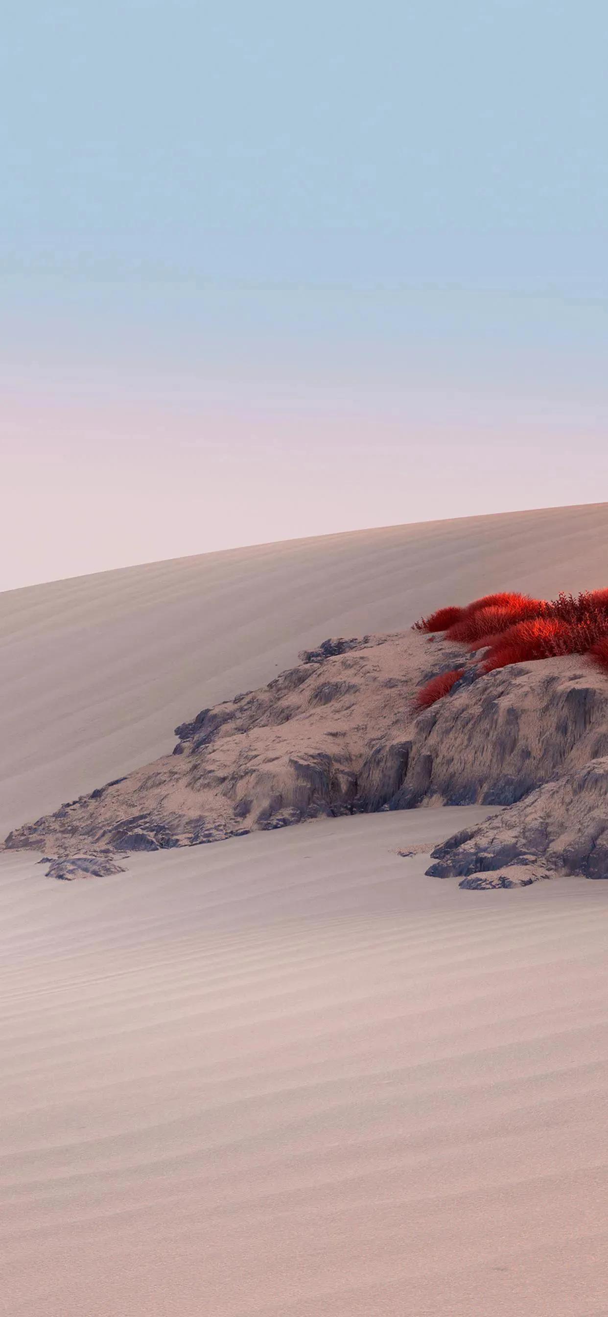 沙漠壁纸图片大全高清,苹果专用沙漠壁纸全屏