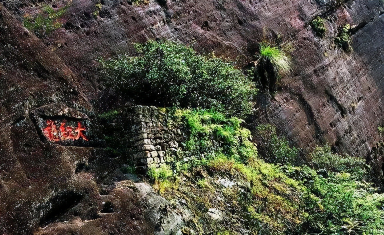 四两茶叶半壁江山,四两大红袍半壁江山的典故