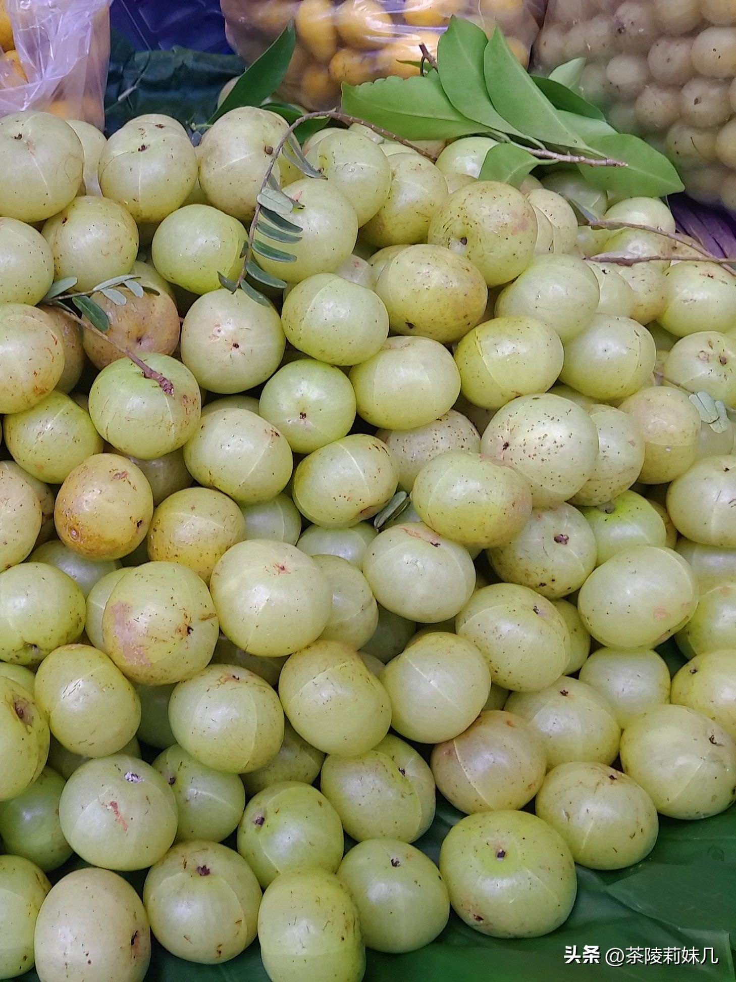 大人冬季咳嗽快速止咳小妙招雪梨,熬夜咳嗽快速止咳小妙招雪梨
