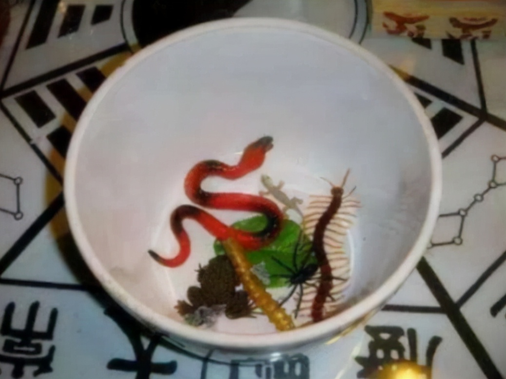 蛊是什么时候存在的,蛊到底是什么