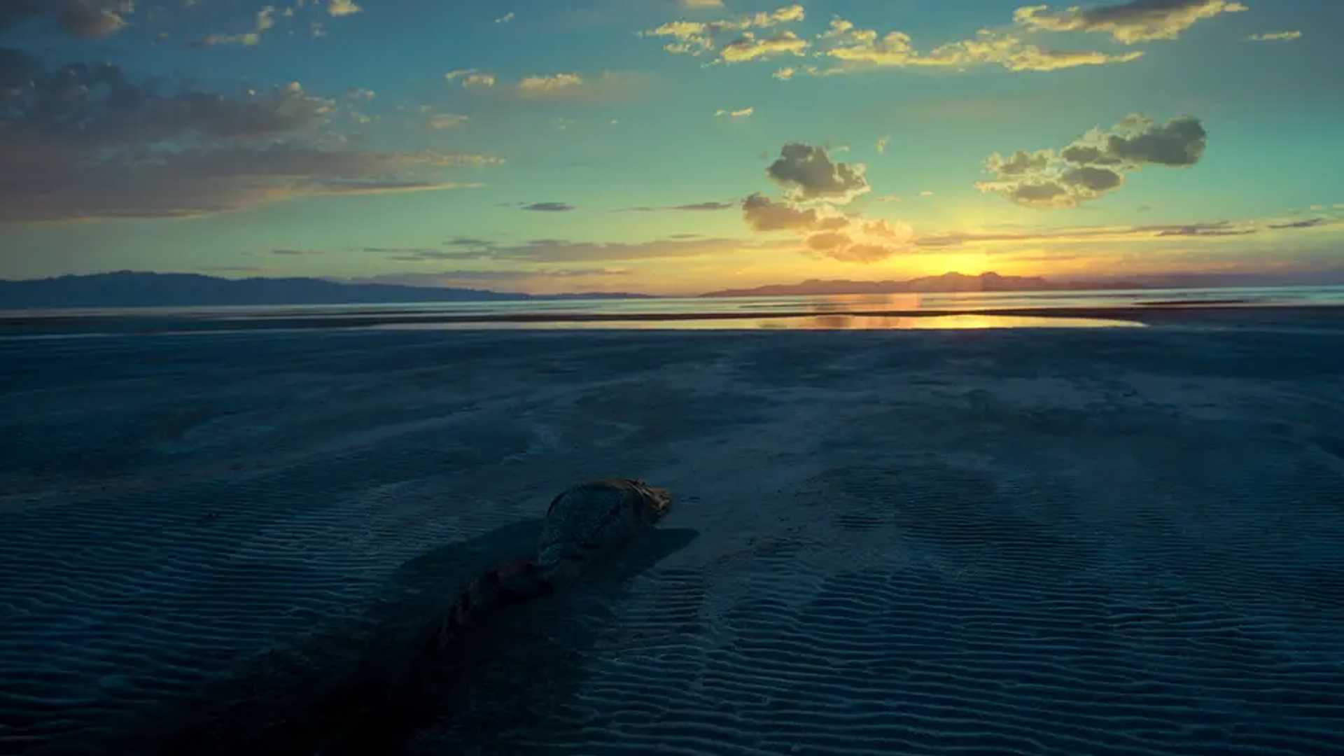 泰伦斯马利克镜头分析,泰伦斯马利克电影中的长镜头