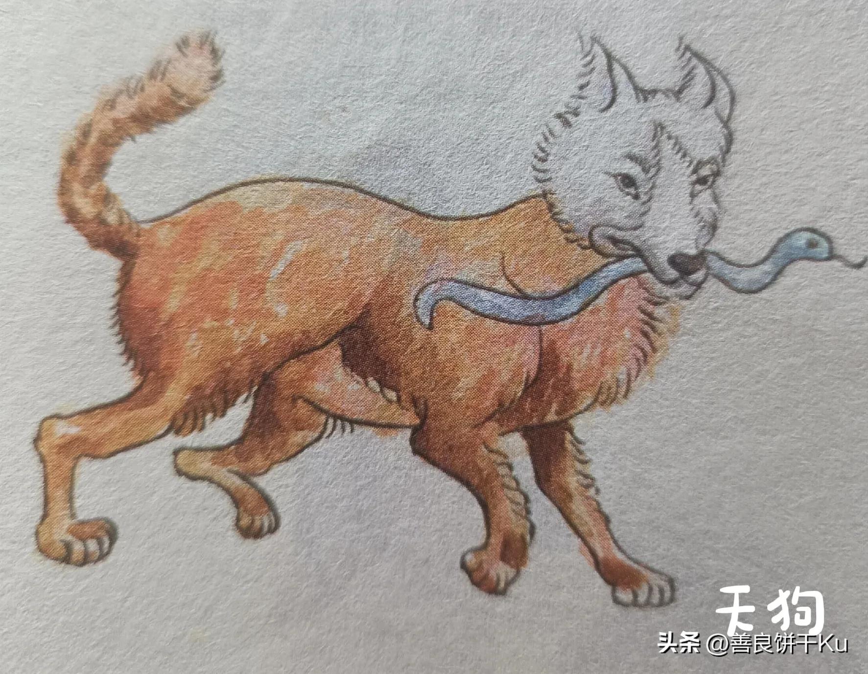 西次三经解读,西次三经什么意思