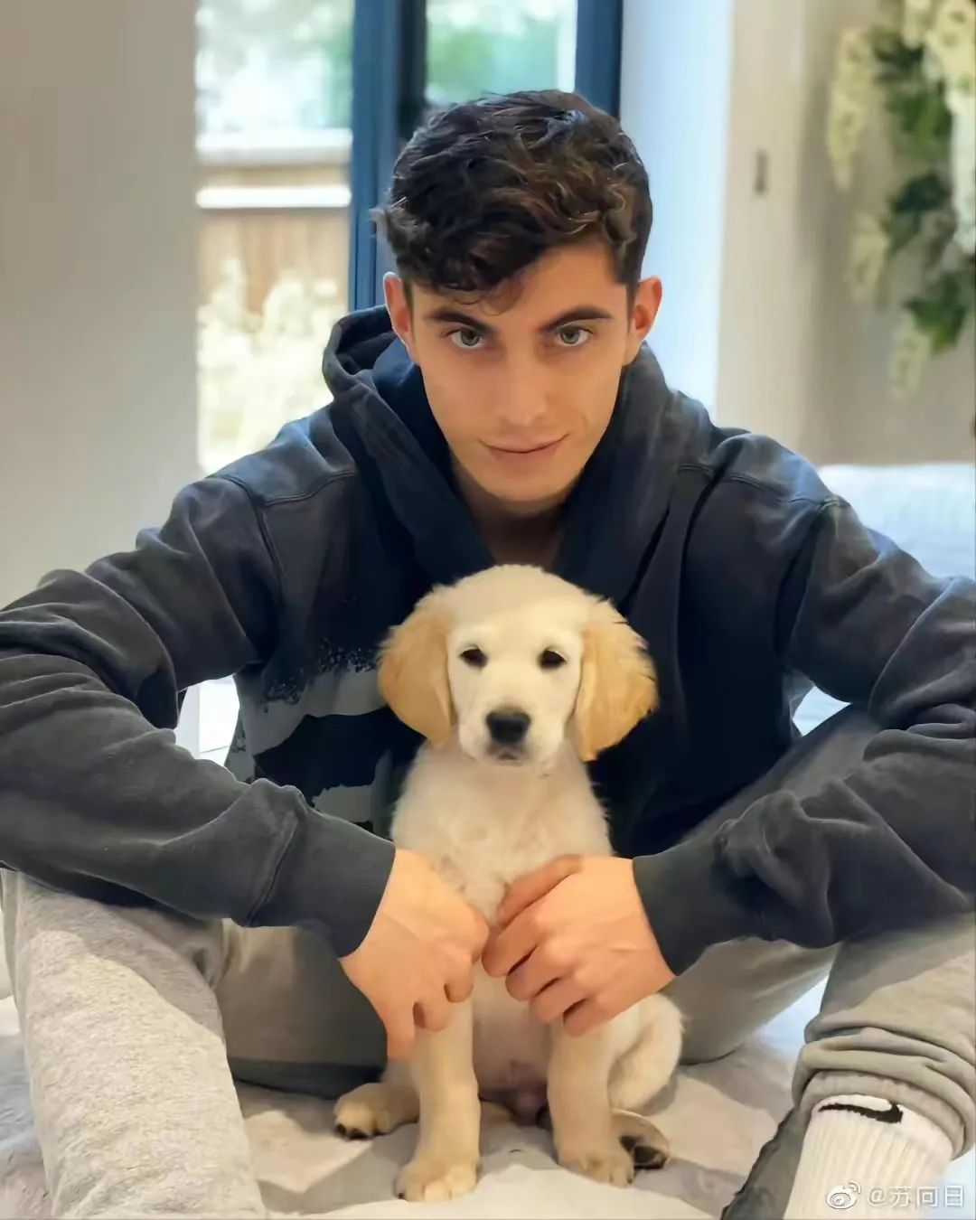 世界杯各国帅哥,世界杯帅哥有哪些