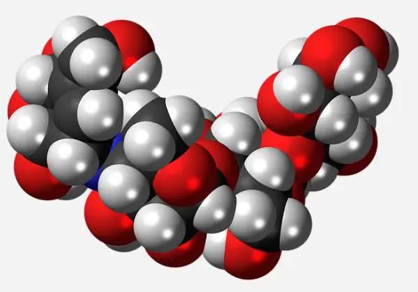 壳寡糖的促进生根作用,壳寡糖对免疫系统的调节作用