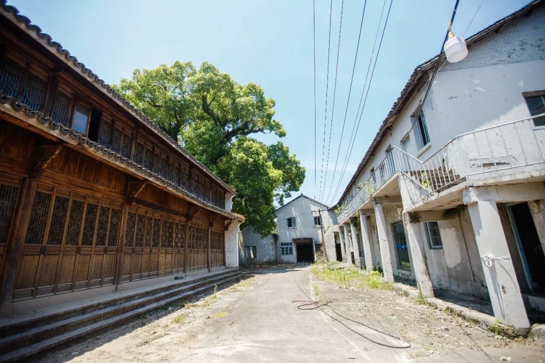 台州文旅招商,台州文旅招商广告