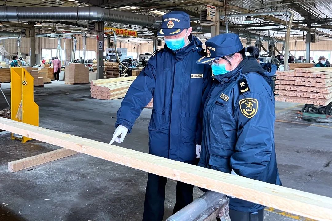 海关助力中亚粮食进口,海关助力企业出口