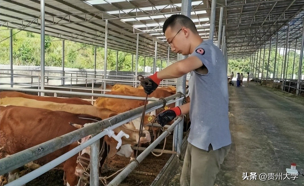 璐靛ぇ瀛﹂櫌,璐靛ぇ鏈鍗囧