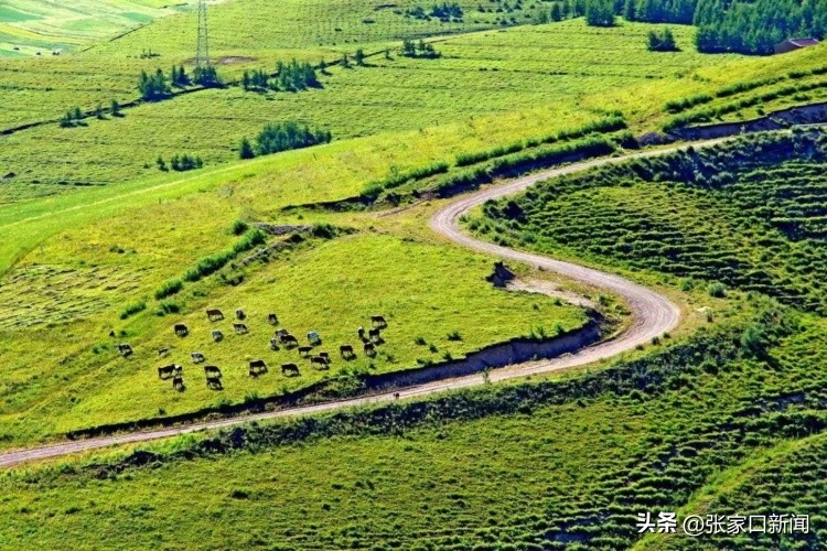 喜迎二十大奋进新征程,二十大奋力写好新时代赶考答卷