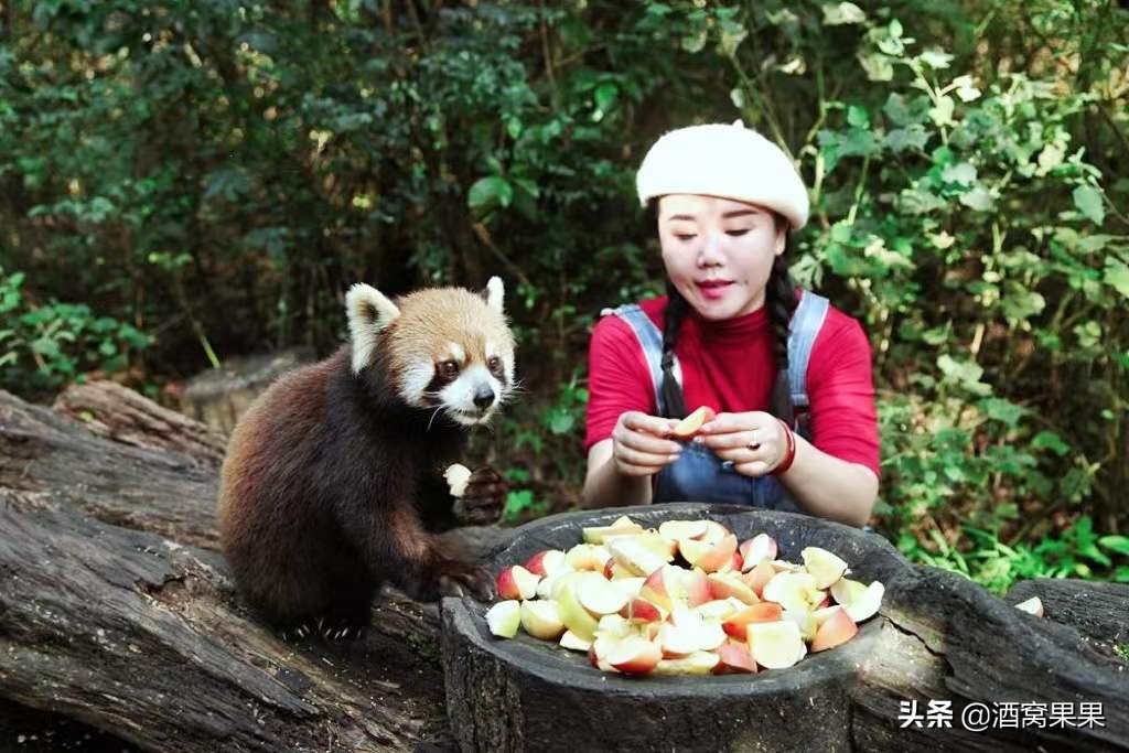 冬天云南适合旅居的地方,云南避寒避暑旅居哪些地方好