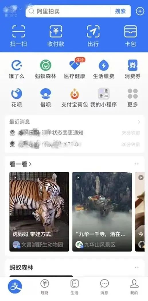 支付宝对商家流量扶持,支付宝首页流量开放平台