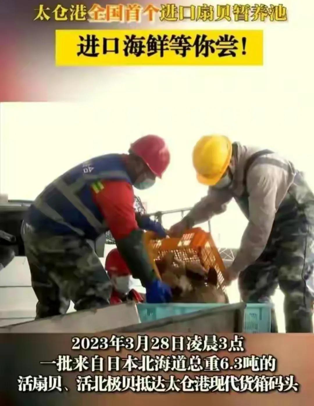 太仓进口日本福岛海鲜,苏州太仓港的日本海鲜进口事件