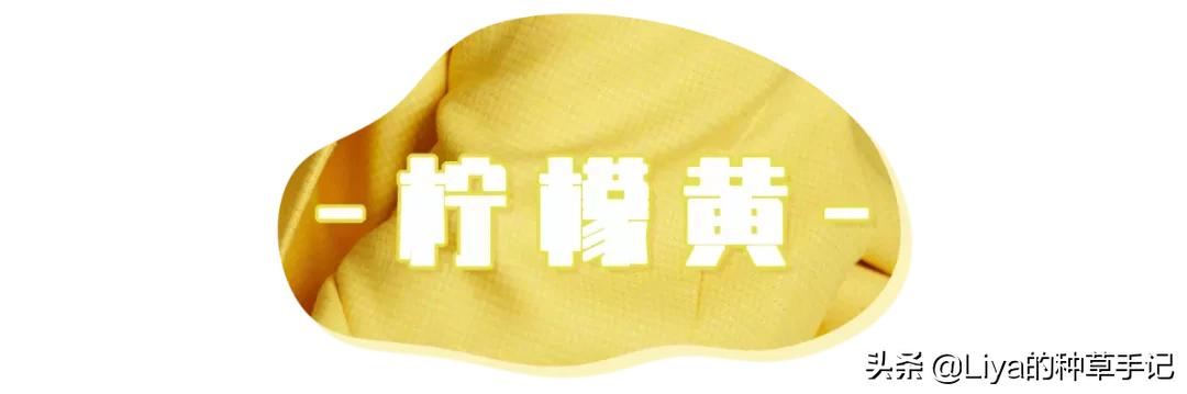 克莱因蓝和什么色搭配高级,35岁穿克莱因蓝好看吗