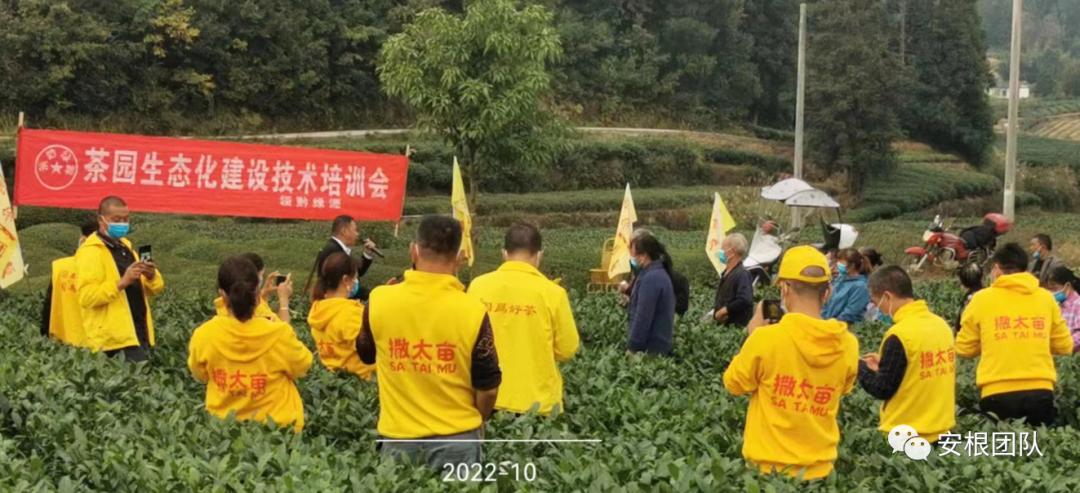 农业社会化服务实施方案,农业社会化服务重要性可行性分析