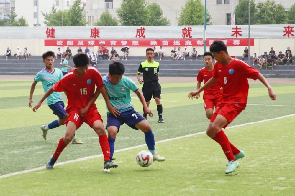 开封金明中学足球队的照片,金明中学足球队