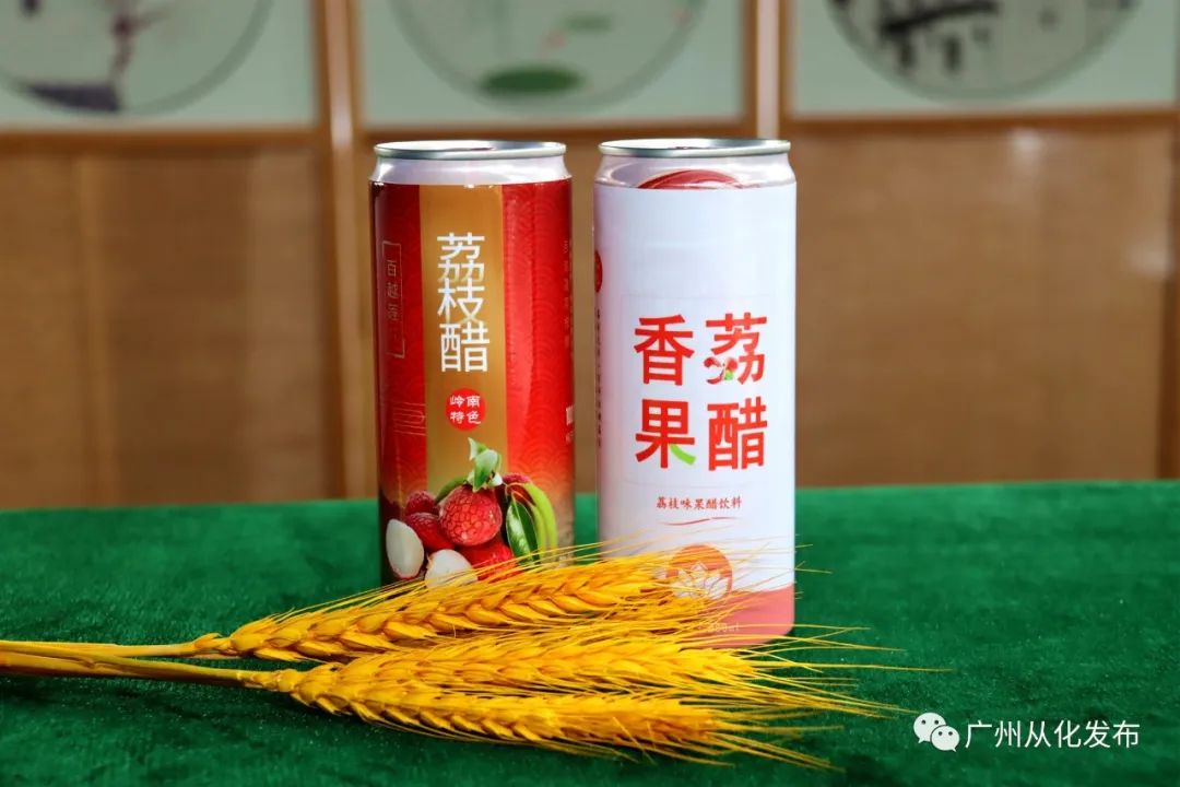 荔枝产业乡村振兴,广州从化电商工匠助荔行动开启