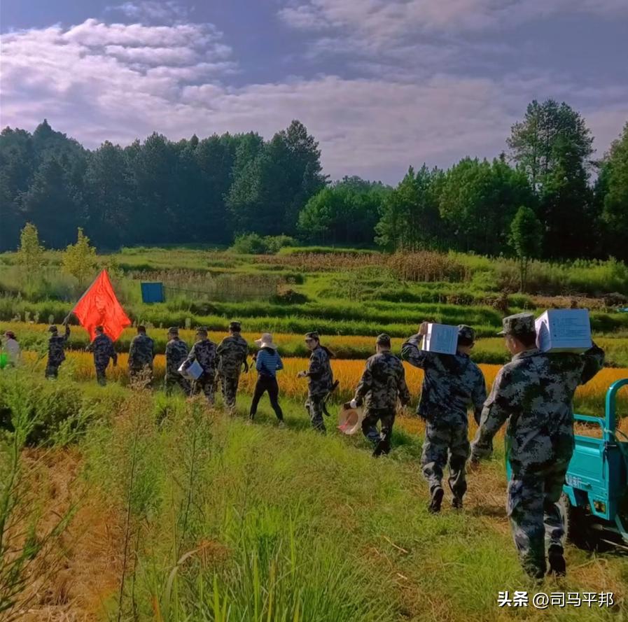 会打仗的*队军**不少见，但主动弯腰帮老百姓收庄稼的，可能只此一支