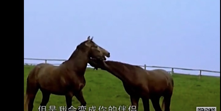 易经的智慧学习笔记阳极成阴09/144讲解曾仕强教授分享给大家