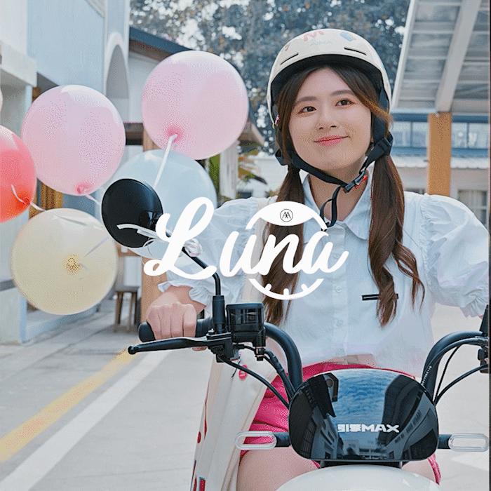 爱玛科技一季度报,爱玛科技财报分析