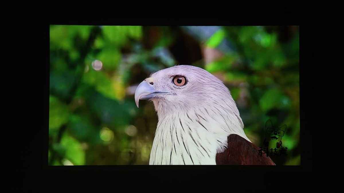 联想小新520投影仪观影效果,联想小新520投影仪测评