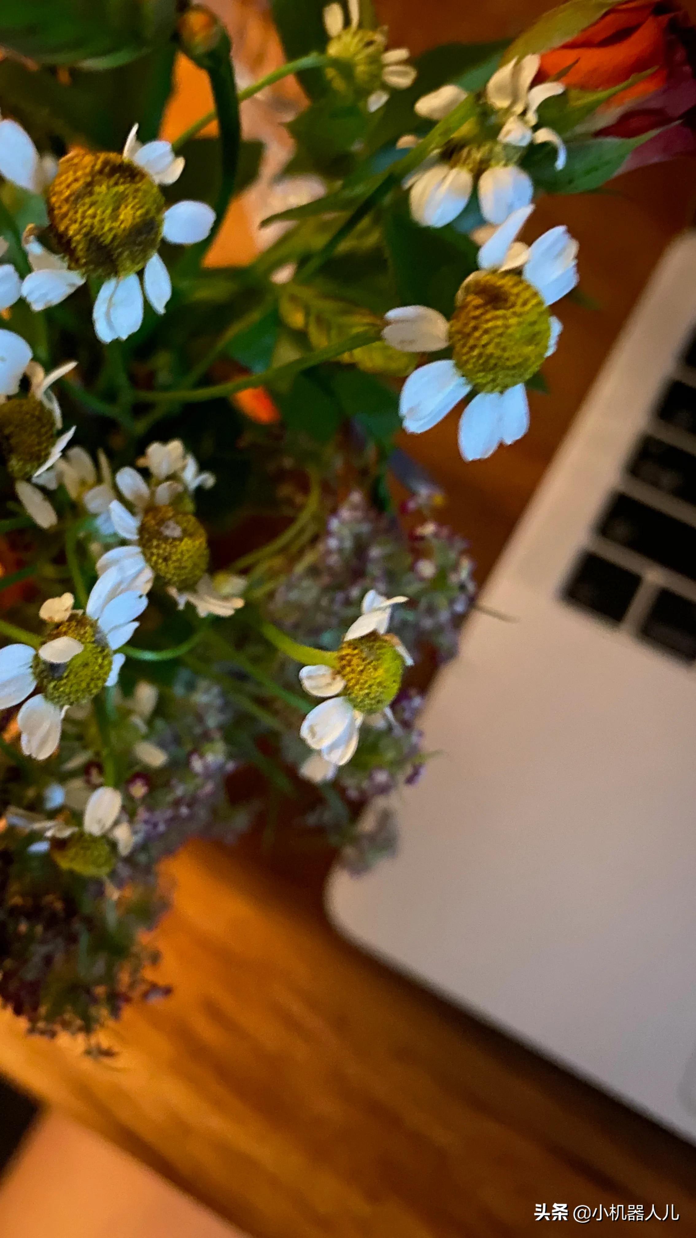 辞职了拿不到工资怎么办,辞职后工资没有发怎么办