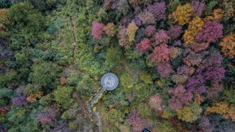 特色小镇的细节设计,生态旅游型特色小镇节能报告案例