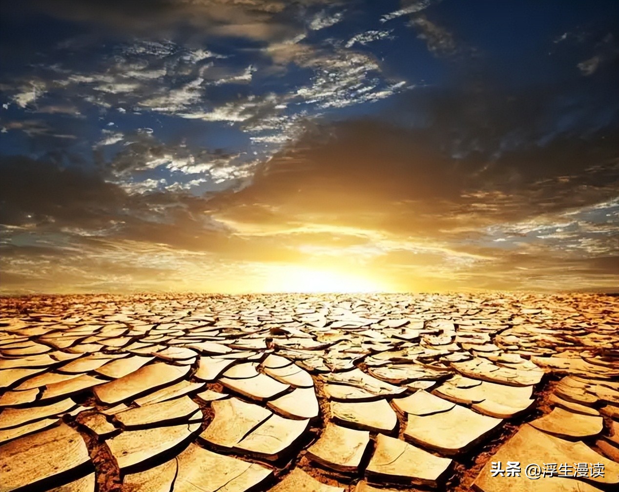 邵雍梅花易数预测实例,梅花易数邵雍七大预言