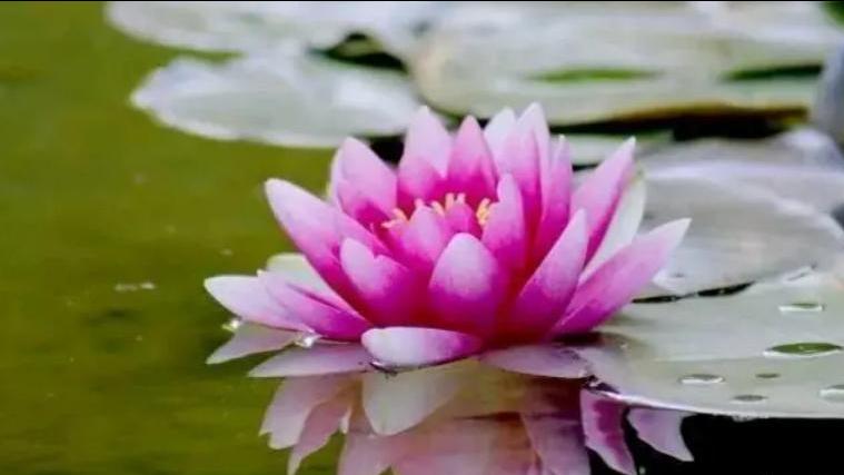 想要得到女生的芳心就得舍得花钱,想要得到一个女人的心靠什么