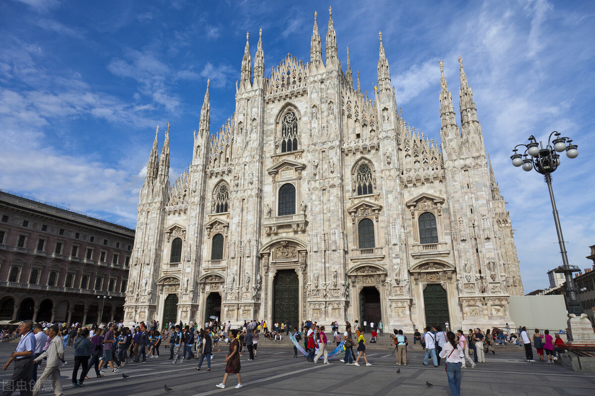 怒放的生命爆发,盛开的花朵怒放的生命