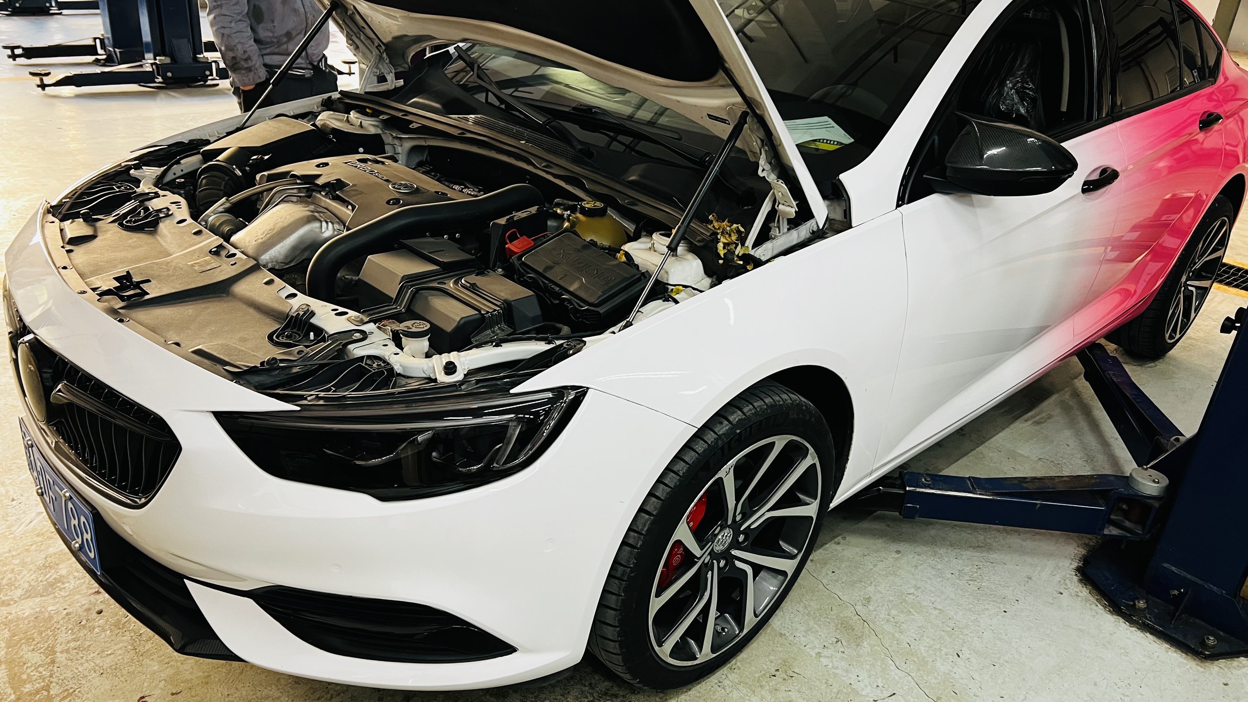 艾伦养护注意事项,艾伦怎样养护