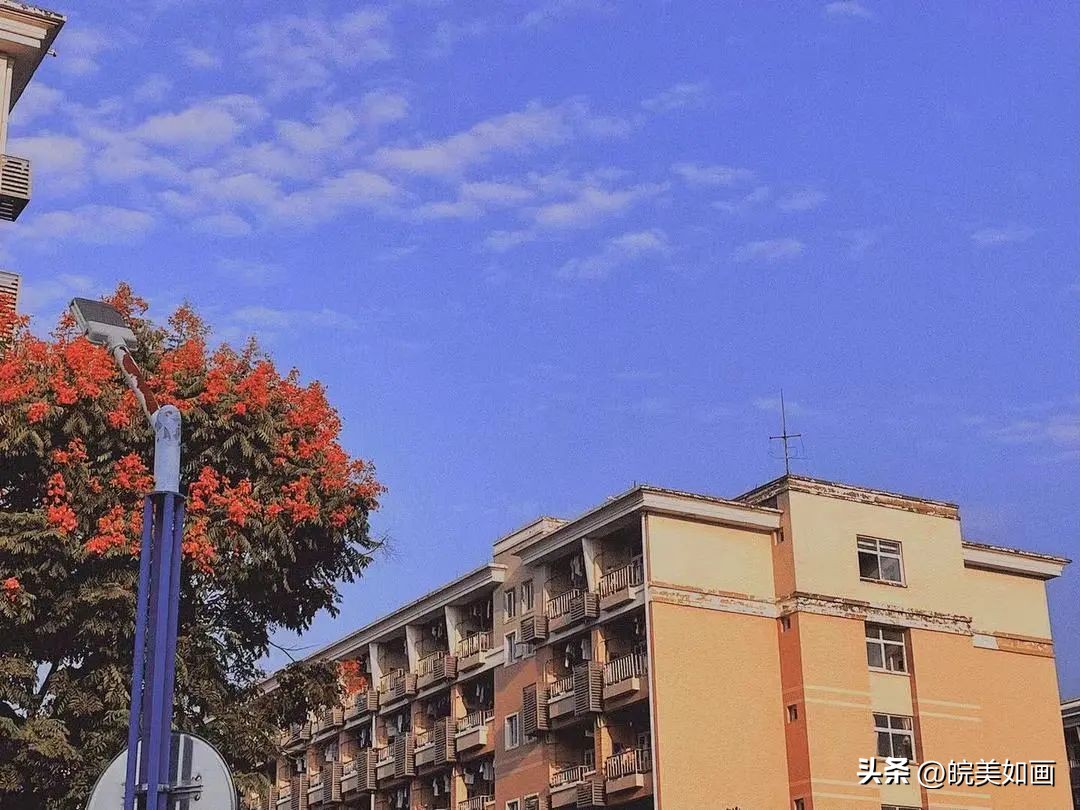 安徽大学好看的风景,高校最美秋景