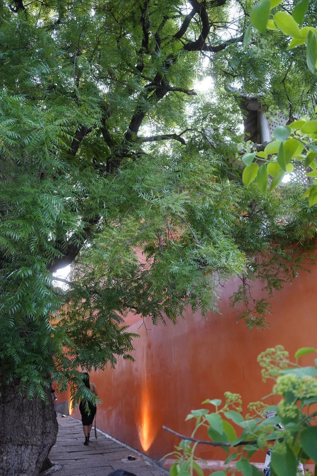 去西昌一定要吃的美食,去西昌推荐吃什么