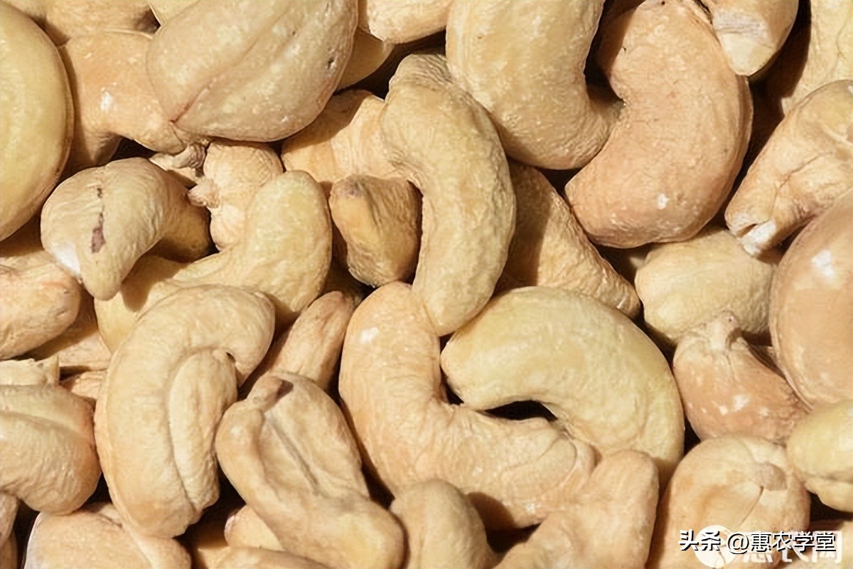 腰果价格多少钱,腰果价格多少