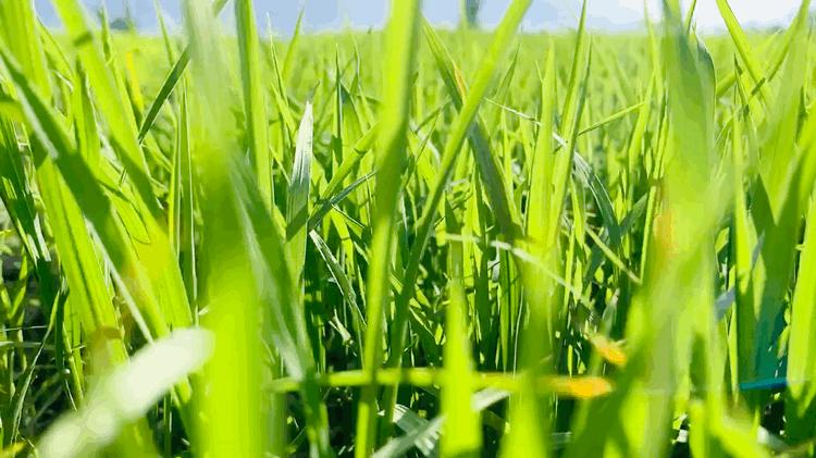 用手机拍短视频的技巧,拍带货短视频的技巧