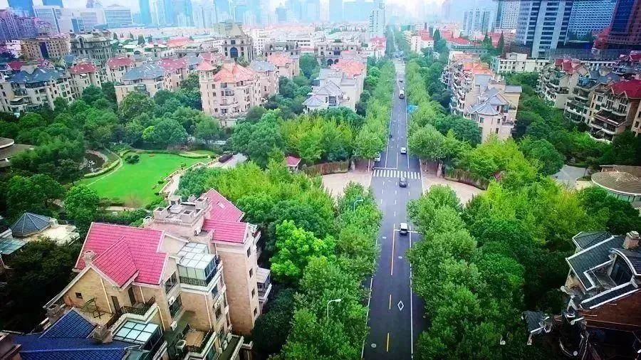 花木没1000w你别考虑