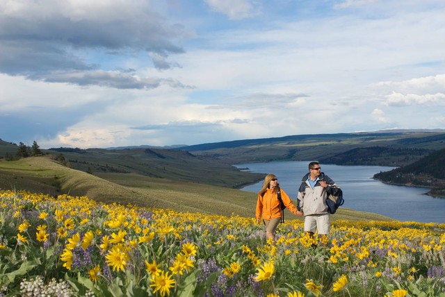 夸人句子800字不重复,夸人句子200字