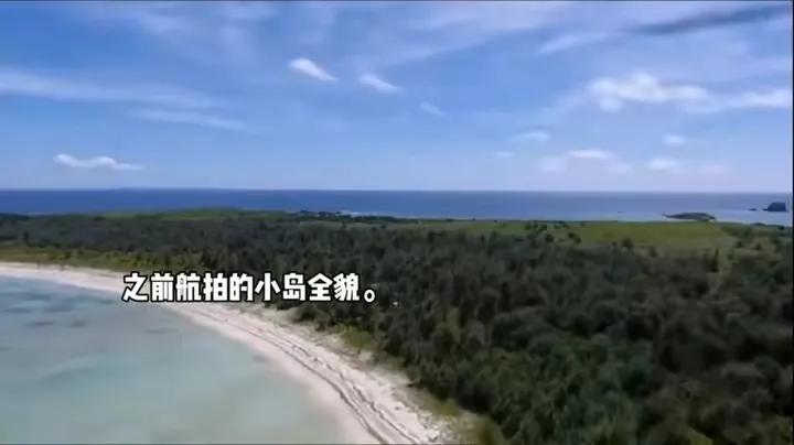 85后中国女子买下日本70万平小岛，在日本社交网络上引热议