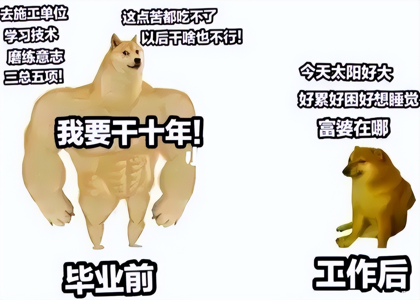 上学和毕业变化搞笑图,大学生用梗图实力调侃毕业生